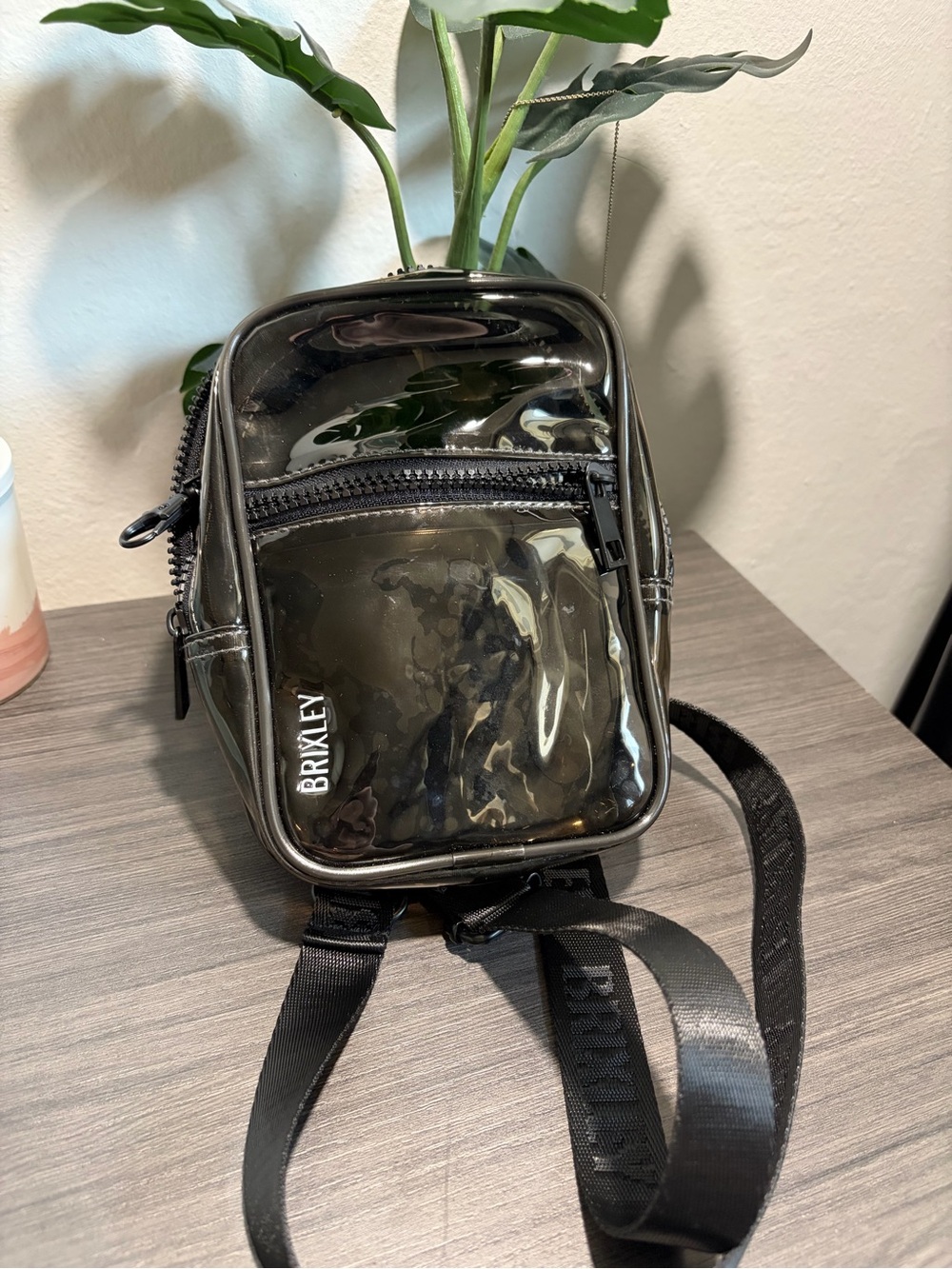 Brixley Black Clear Crossbody Bag with Front Zip Pocket